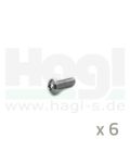 Befestigungsschrauben TRW 6 Sueck - M6 x 1, verzinkt, torx - MSW 102-6