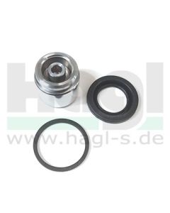 Dichsatz inkl. Staubkappe ATE 38 mm - 100 17 760