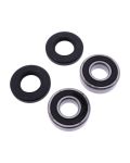Radlager Satz komplett mit Wellendichtring - 300 15 138