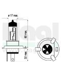 gluehlampe-12v-35-35w-halogen-sockel-px43t-hs1-fuer-vespa-ve=10-stueck-bestellmenge-1-.jpg