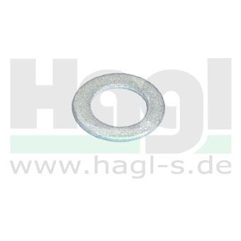 dichtring-bing-alu-maße-4-x-7-x-0-5-mm-65-052.jpg