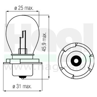 gluehlampe-12v-15-w-sockel-p26s-bestellmenge-1-=-1-stueck-bosma-100-16-625.jpg