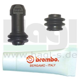 lagersatz-brembo-fuer-zange-pf30-32-pf34a-b-pf2x28-122474614.JPG