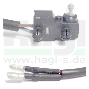 microschalter-brembo-fuer-rcs-19-110467195.jpg