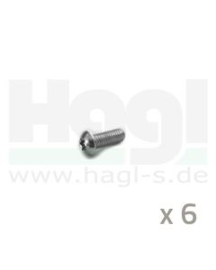 Befestigungsschrauben TRW 6 Sueck - M6 x 1, verzinkt, torx - MSW 102-6